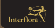 Interflora logo